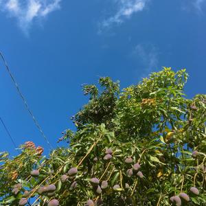 22 (falling) (Explicit)