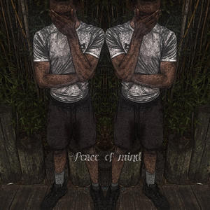 Peace Of Mind (feat. lulwalkdown) (Explicit)