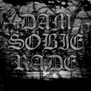 DAM SOBIE RADE (feat. Mlody Shadow) (Explicit)