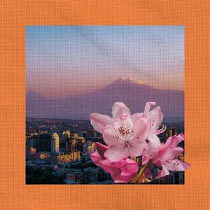 lasso (feat. Spiteful) (Explicit)