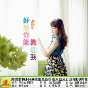 好想你能靠近我 (DJ版)