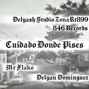 Cuidado donde pises (feat. Mr Flako|846 records ZonaRt899|Explicit)