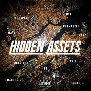 Hidden Assets (Explicit)