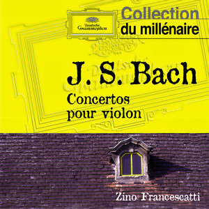 Concerto for 2 Violins in D Minor, BWV 1043 - J.S. Bach: Concerto for 2 Violins in D Minor, BWV 1043: II. Largo ma non tanto