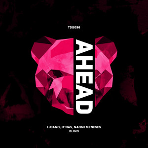 Blind (Extended Version)