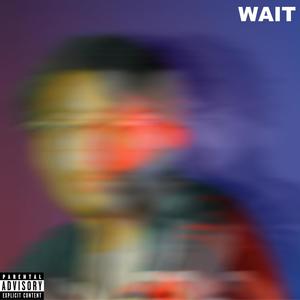 Wait (Explicit)