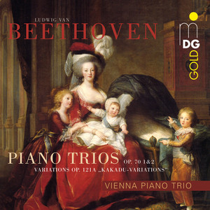 Vienna Piano Trio - Piano Trio No. 6 for Violin, Violoncello and Piano in E-Flat Major, Op. 70, No. 2: III. Allegretto, ma non troppo