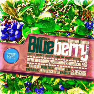 Blueberry, Vol. 01 Selected by Tamiris & Nanuk