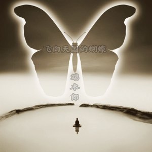 飞向天国的蝴蝶