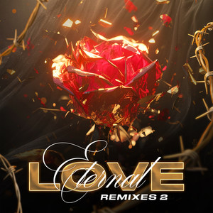 Eternal Love Remixes 2