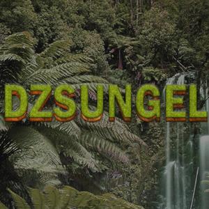 Dzsungel (feat. Blake) (Explicit)
