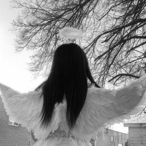 I Just Wanna Be Loved