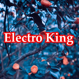 Anup Kushwaha - Electro King