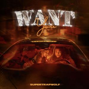 Want You (Explicit)