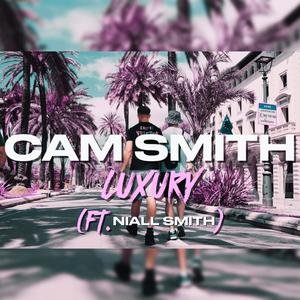 Luxury (feat. Niall Smith) (Tadhg E Remix|Explicit)