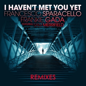 I Haven't Met You Yet (Remixes)