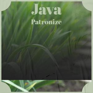 Java Patronize