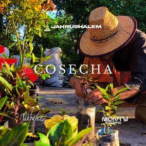 Cosecha (feat. Jahrushalem & Jahbafana)