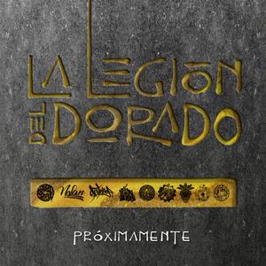 Ponlo en on (feat. Sector sanber, Raitmen & Pirela) (Explicit)