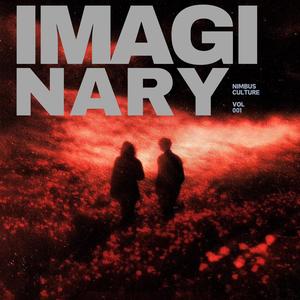 IMAGINARY