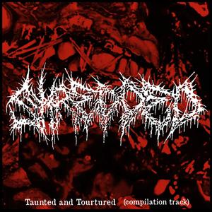 Taunted and Tourtured