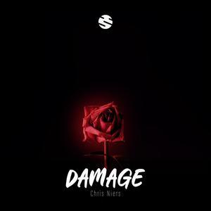 Damage (Extended Version)