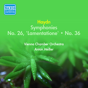 Symphony No. 26 in D Minor, Hob.I:26, 