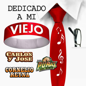 No Quiero Tu Lastima