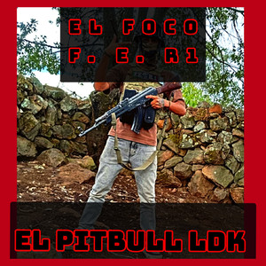 El Pitbull Ldk - El Foco F.E.R1 (Explicit)