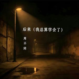 后来 (我总算学会了)