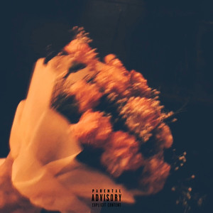 Signaler (feat. Amna Naseer) (Explicit)