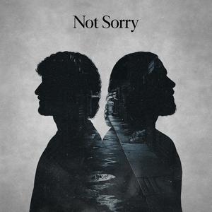 Not Sorry (feat. Roko Santana) (Explicit)