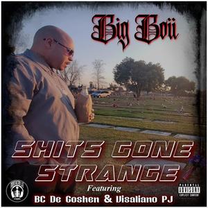 Shits Gone Strange (feat. BC de Goshen & Visaliano PJ) (Explicit)