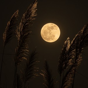 捧杀 (小黄人版)