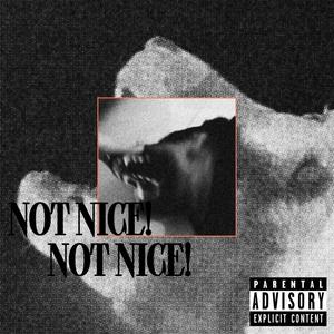 Not Nice! (Explicit)