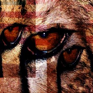 cheetah (Explicit)
