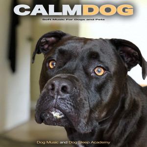 Calm Dog: Soft Music For Dogs and Pets