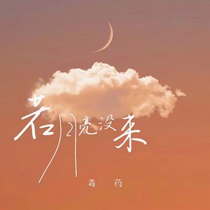 若月亮没来