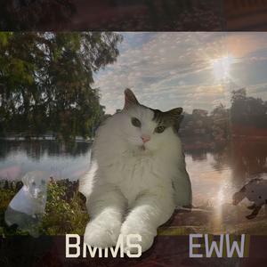 Branding Brandon's Binghole (Explicit)