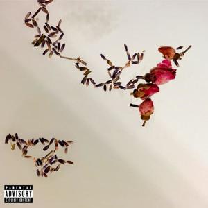 Not in a car! (Explicit)