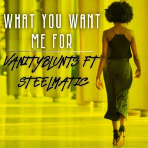 What You Want Me For (feat. Steelmatic) [Explicit]