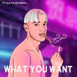 What You Want (feat. Liltrxptendo) (Explicit)