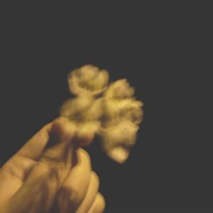 挪威的森林 (COVER版)