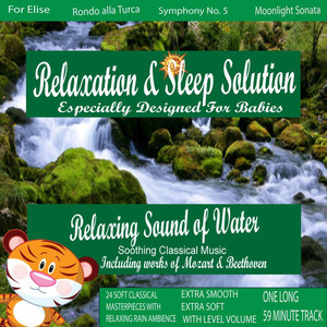 Relaxing Sound of Water(Brook)with Soothing Classical Music for My Smart Baby(24 Classical Masterpieces In 1 Track)