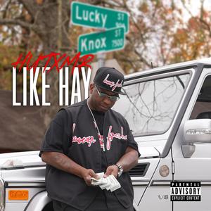LIKE HAY (Explicit)