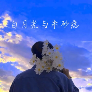 白月光与朱砂痣