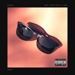 What a Sight(feat. It's Troy) (Explicit)