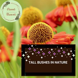 Tall Bushes in Nature