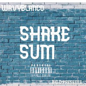 Shake Sum (Explicit)