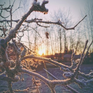 Astray(feat. Madi Larson)